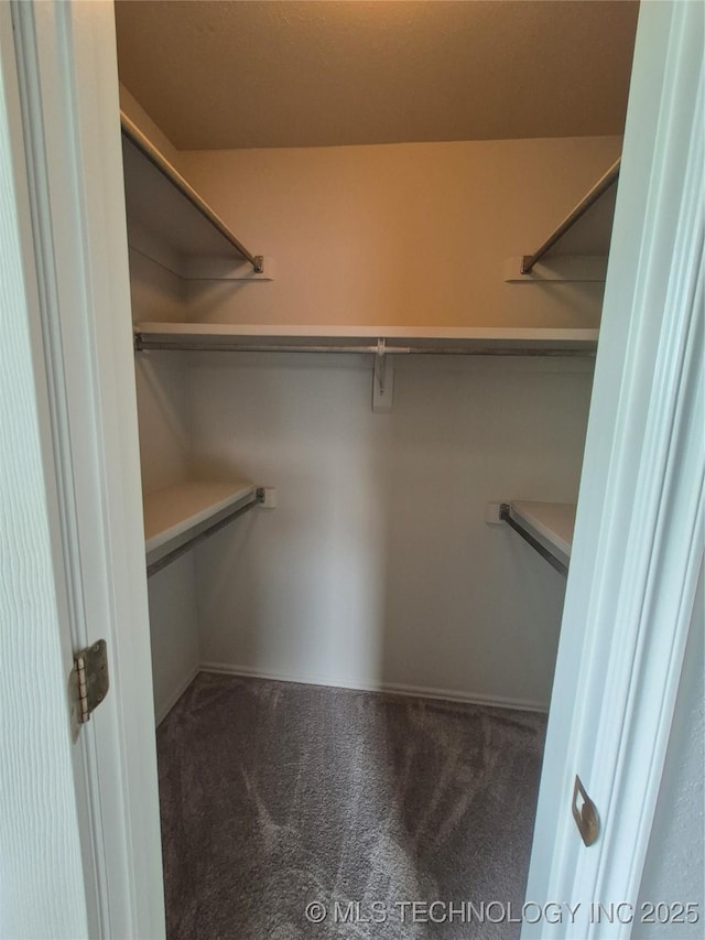 2200 SW Wolf Run Ct, Claremore, OK 74019 - walk in closet with carpet flooring