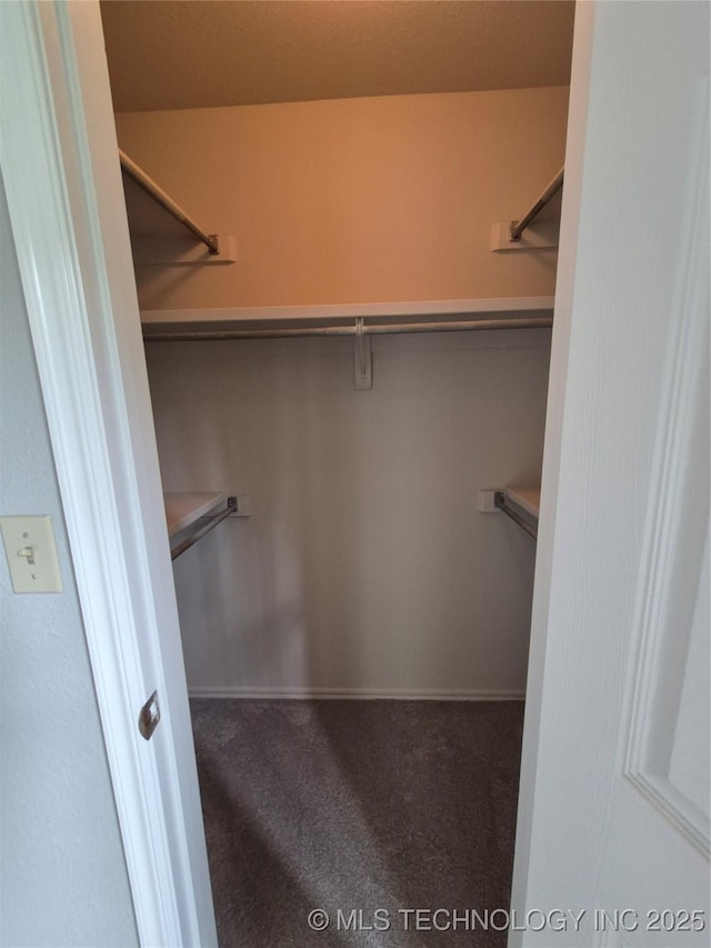 2200 SW Wolf Run Ct, Claremore, OK 74019 - spacious closet featuring carpet flooring