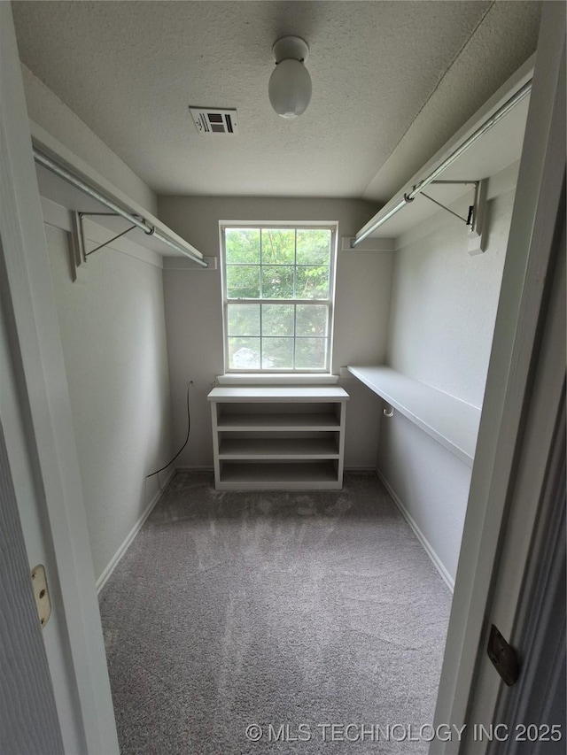 2200 SW Wolf Run Ct, Claremore, OK 74019 - walk in closet with carpet