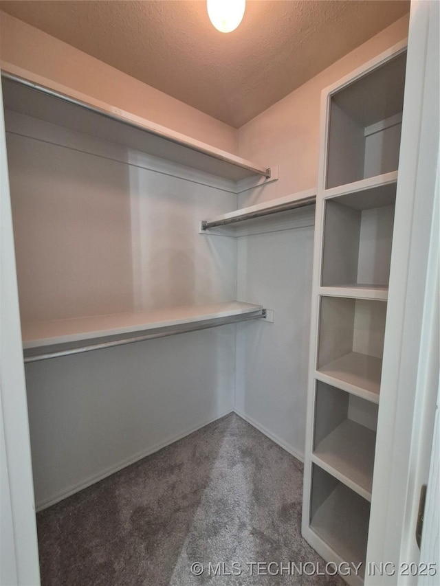 2200 SW Wolf Run Ct, Claremore, OK 74019 - walk in closet featuring carpet floors