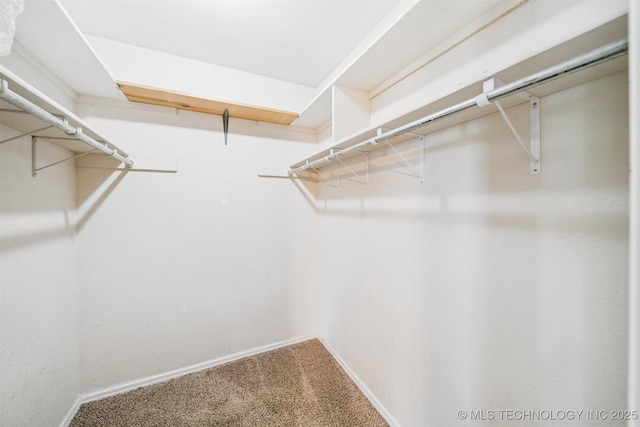 11691 N 193rd E Ave, Collinsville, OK 74021 - walk in closet featuring carpet