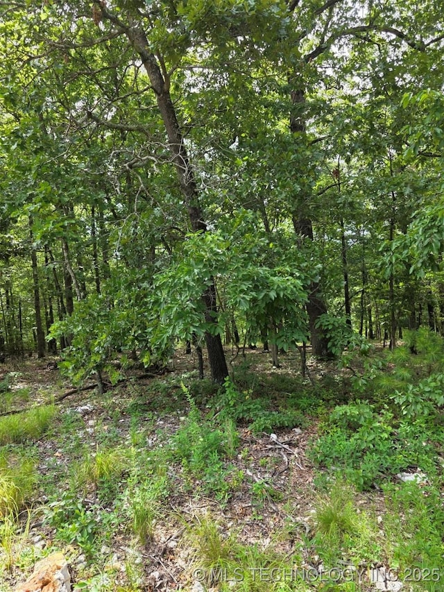 1128 Fox Ridge Dr, Kansas, OK 74347 - photo 3