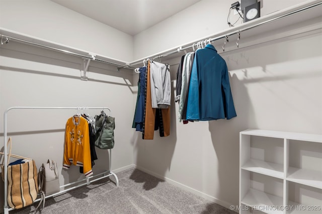 11608 S 274th E Pl, Coweta, OK 74429 - walk in closet featuring carpet floors