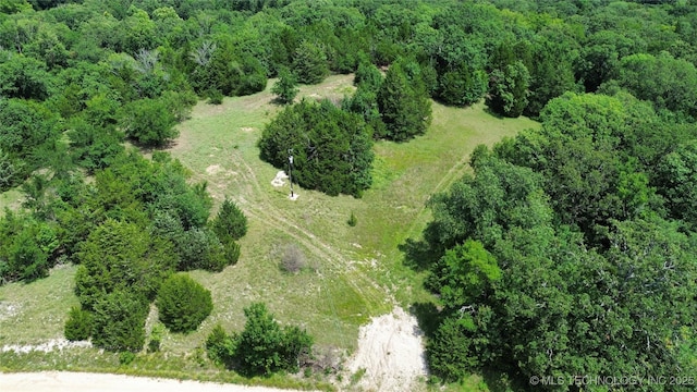 12600 Gray Hl, Milburn, OK 73450 - photo 12