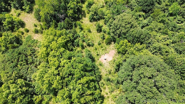 12600 Gray Hl, Milburn, OK 73450 - photo 22