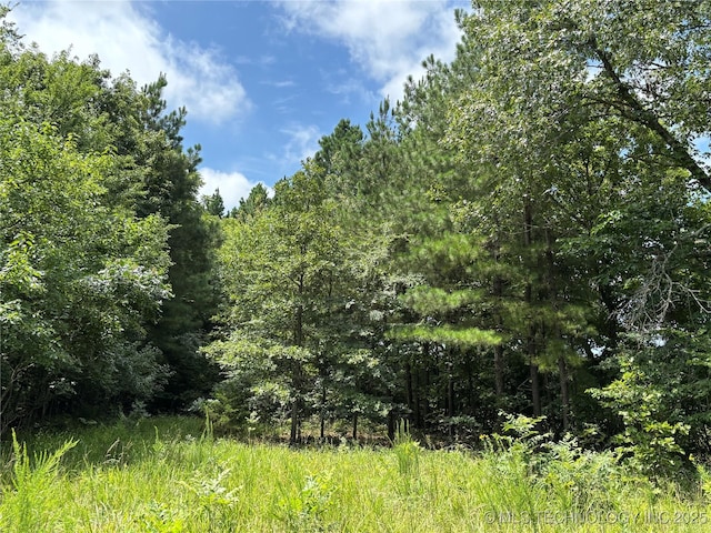 12600 Gray Hl, Milburn, OK 73450 - photo 27