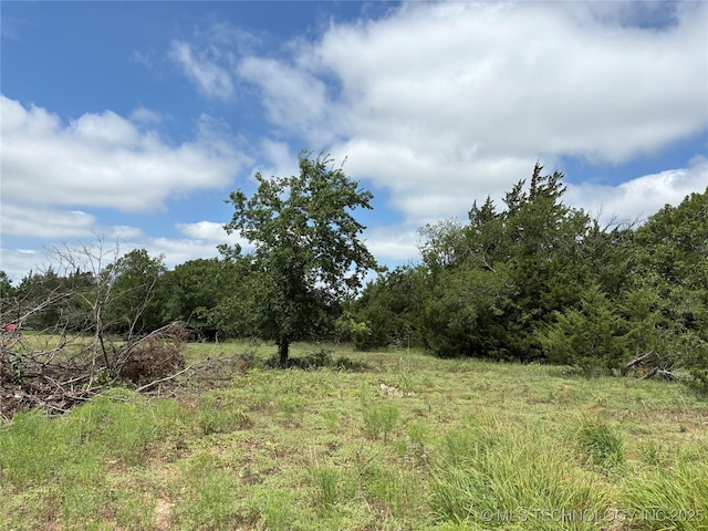 12600 Gray Hl, Milburn, OK 73450 - photo 28