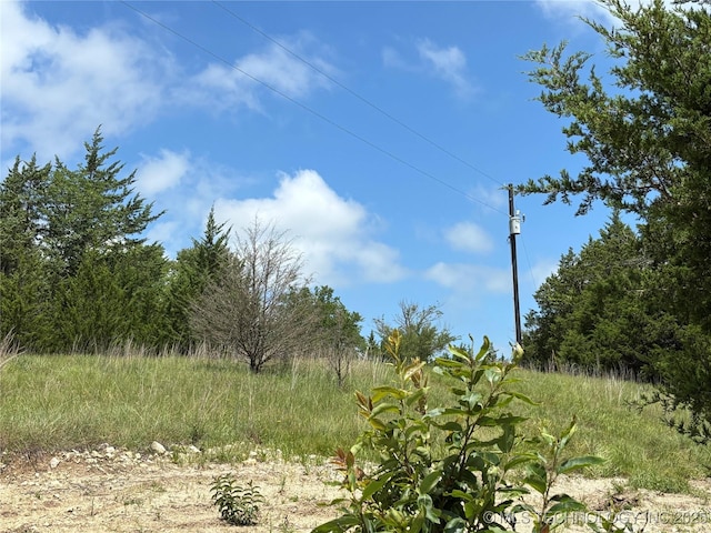 12600 Gray Hl, Milburn, OK 73450 - photo 29