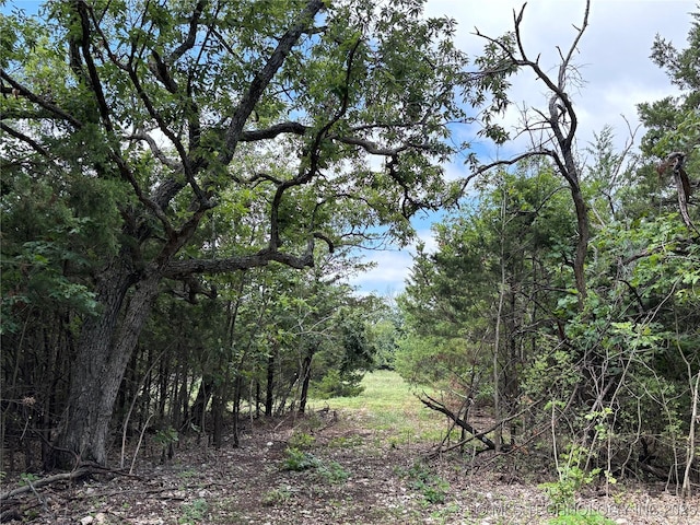 12600 Gray Hl, Milburn, OK 73450 - photo 31