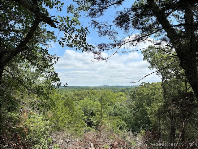 12600 Gray Hl, Milburn, OK 73450 - photo 32