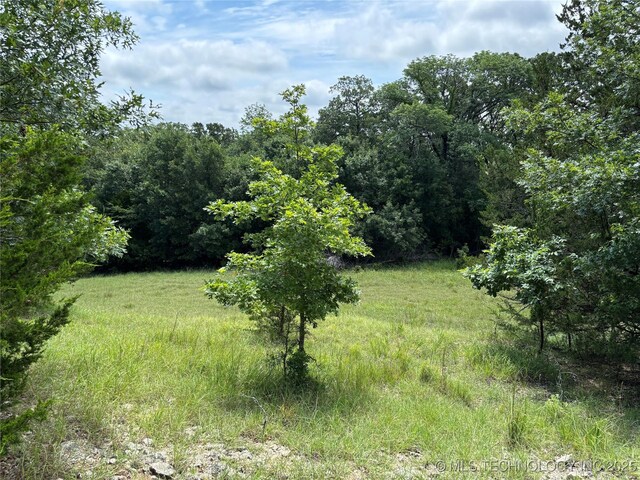 12600 Gray Hl, Milburn, OK 73450 - photo 33