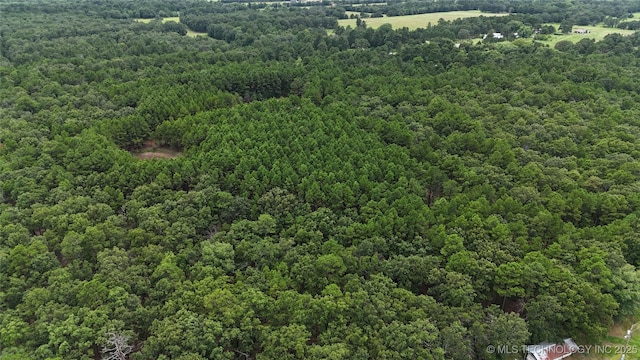 31096 S Tucker Knob, Kinta, OK 74552 - photo 10