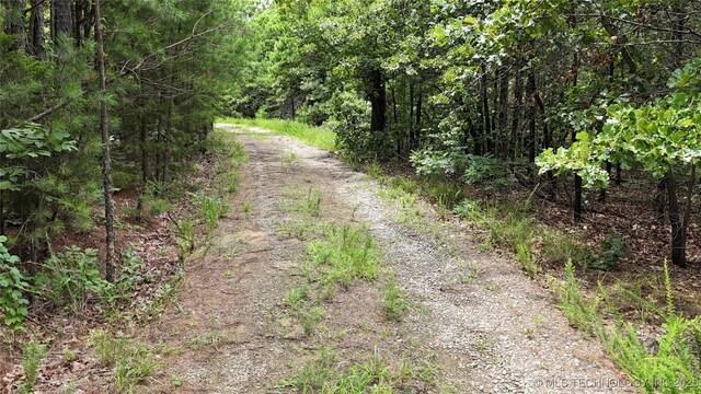 31096 S Tucker Knob, Kinta, OK 74552 - photo 13