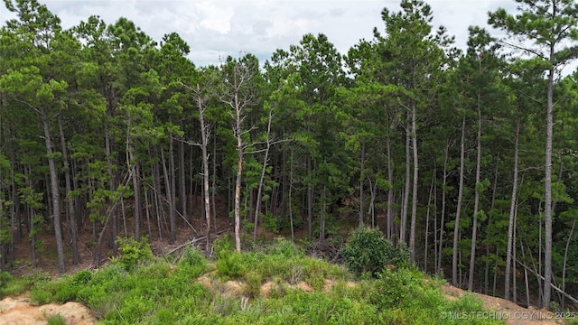 31096 S Tucker Knob, Kinta, OK 74552 - photo 6