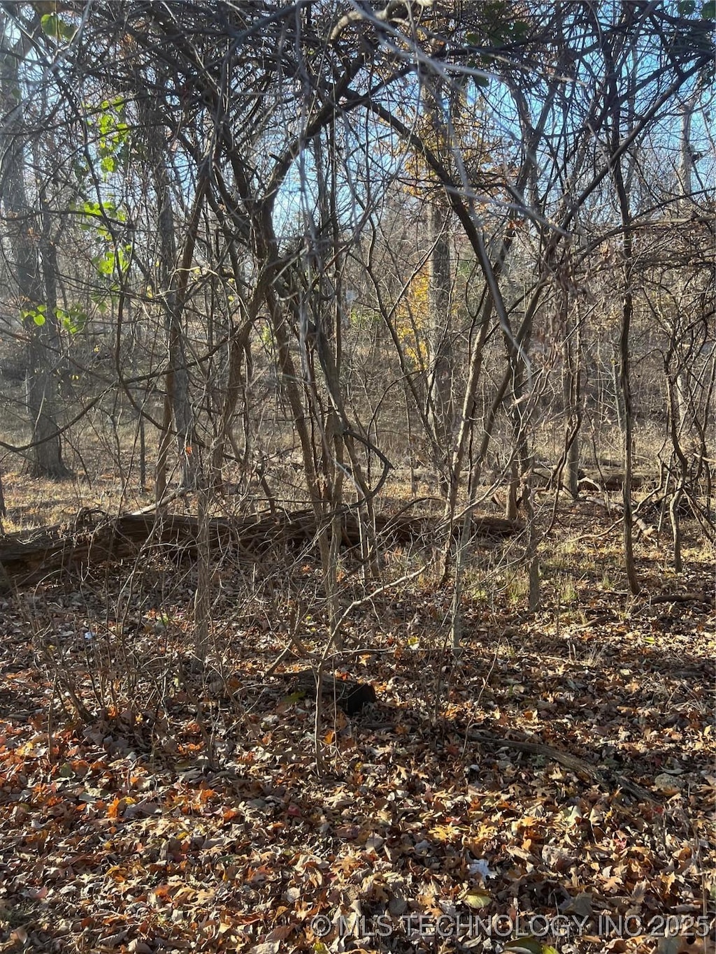 Kansas Dr, Monkey Island, OK 74331 - photo 1
