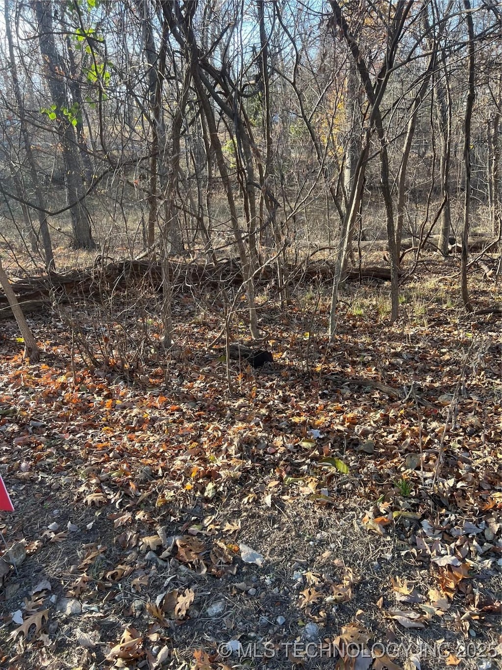 Kansas Dr, Monkey Island, OK 74331 - photo 2