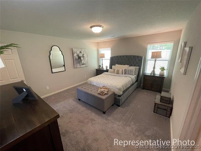 1414 N 83rd St, Broken Arrow, OK 74014 - carpeted bedroom featuring multiple windows and a textured ceiling