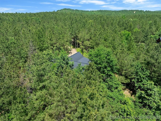 156 S Locust Trl, Broken Bow, OK 74728 - photo 37