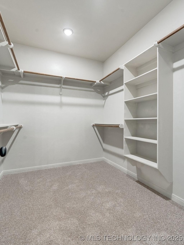 12098 County Road 3513th Loop, Ada, OK 74820 - spacious closet with carpet flooring
