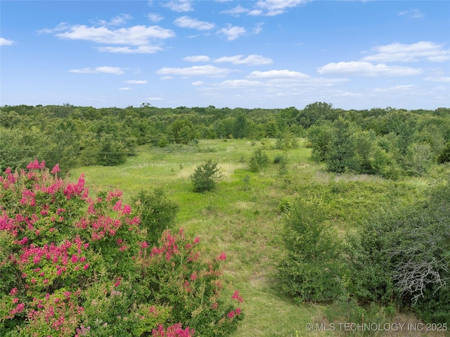 0 State Highway 78, Hendrix, OK 74741 - photo 1