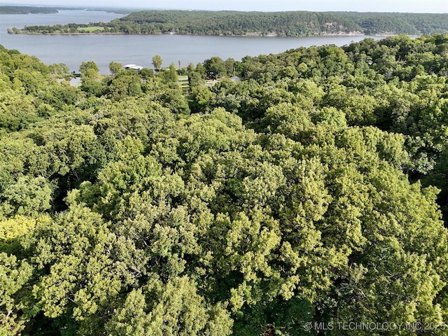 00 Moccasin Ln, Spavinaw, OK 74366 - photo 7