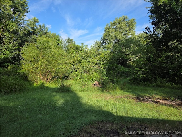713 S Clayton St, Vian, OK 74962 - photo 3