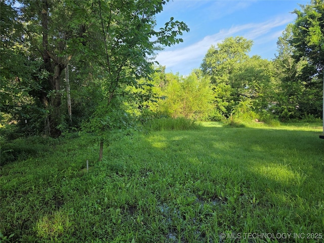 713 S Clayton St, Vian, OK 74962 - photo 4