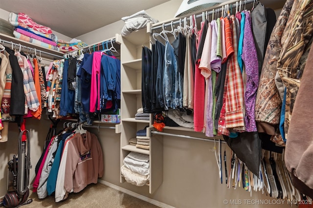 24 Faye Ave, Inola, OK 74036 - walk in closet with carpet floors