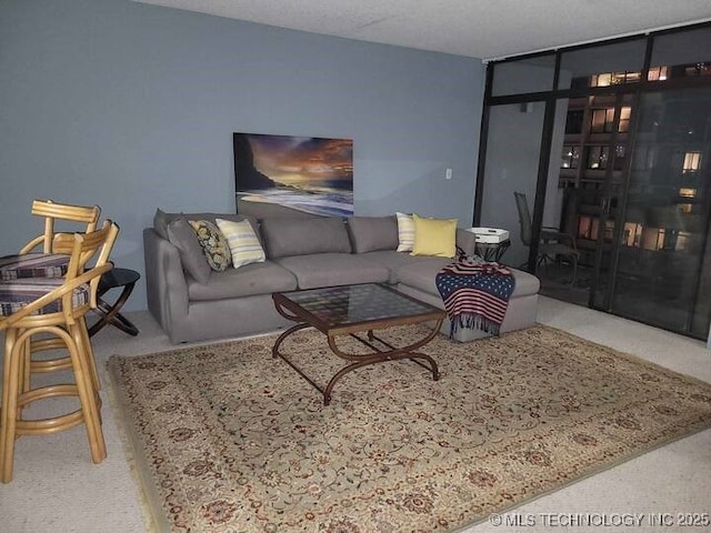 450 W 7th St Unit 704, Tulsa, OK 74119 - view of carpeted living room