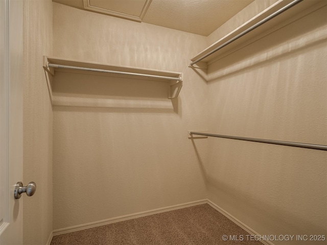 4042 W 105th St S, Jenks, OK 74037 - photo 25