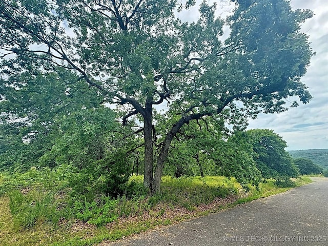19465 E Maple Ln, Cookson, OK 74427 - photo 8