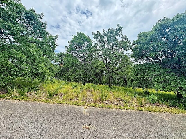 19465 E Maple Ln, Cookson, OK 74427 - photo 11