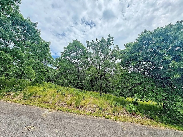19465 E Maple Ln, Cookson, OK 74427 - photo 12