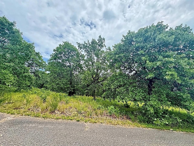 19465 E Maple Ln, Cookson, OK 74427 - photo 13
