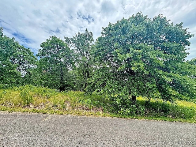 19465 E Maple Ln, Cookson, OK 74427 - photo 14