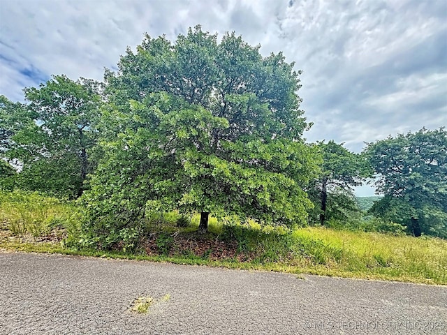 19465 E Maple Ln, Cookson, OK 74427 - photo 15