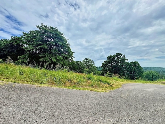 19465 E Maple Ln, Cookson, OK 74427 - photo 19
