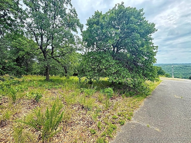 19465 E Maple Ln, Cookson, OK 74427 - photo 25