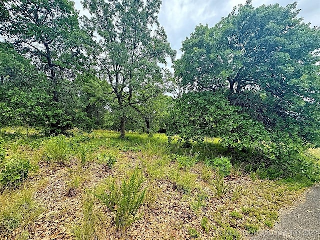 19465 E Maple Ln, Cookson, OK 74427 - photo 26