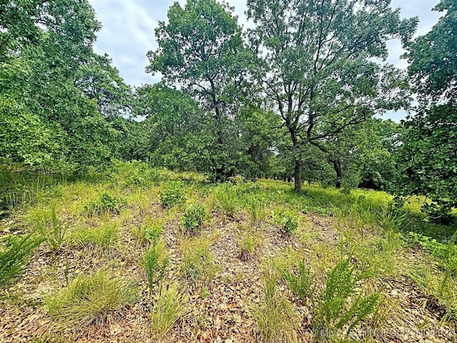 19465 E Maple Ln, Cookson, OK 74427 - photo 28