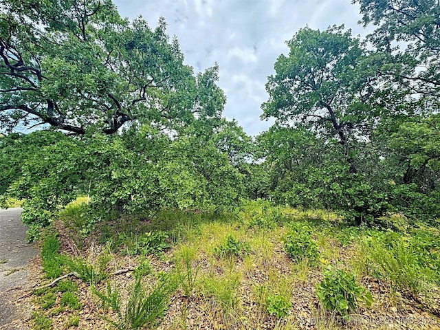 19465 E Maple Ln, Cookson, OK 74427 - photo 29