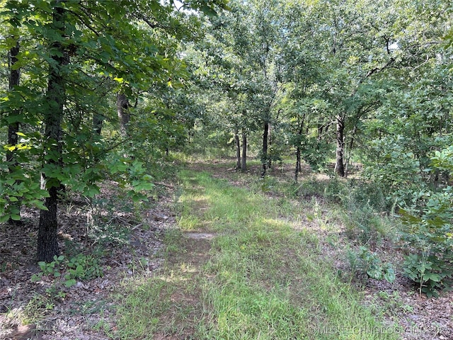 824 Two Mile Ln, Mcalester, OK 74501 - photo 14