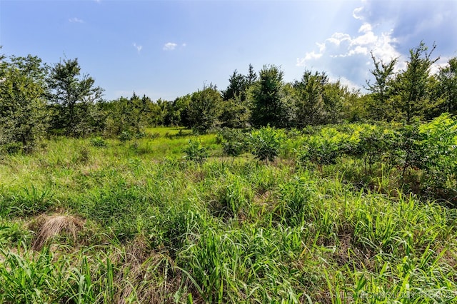 33630 W 241st St S, Bristow, OK 74010 - photo 22