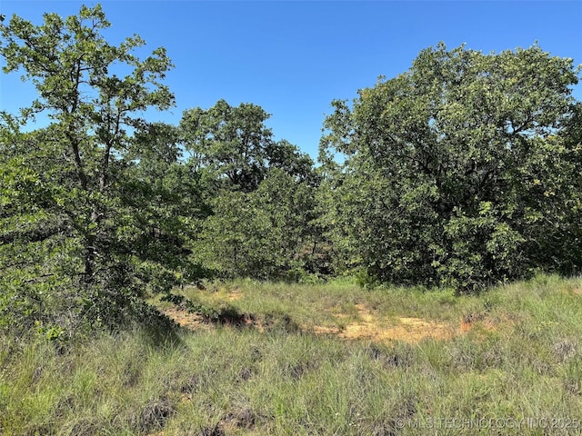 2668 Buckhorn Rd, Healdton, OK 73438 - photo 17