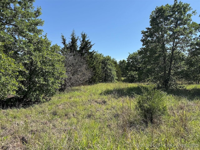 2668 Buckhorn Rd, Healdton, OK 73438 - photo 18