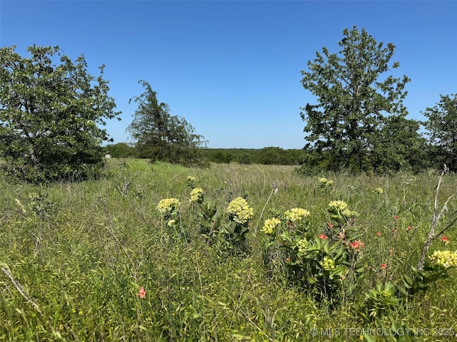 2668 Buckhorn Rd, Healdton, OK 73438 - photo 2