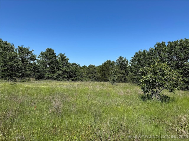 2668 Buckhorn Rd, Healdton, OK 73438 - photo 6
