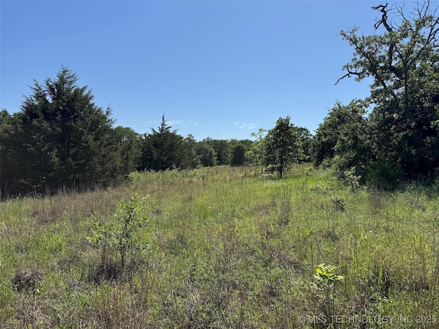 2668 Buckhorn Rd, Healdton, OK 73438 - photo 7
