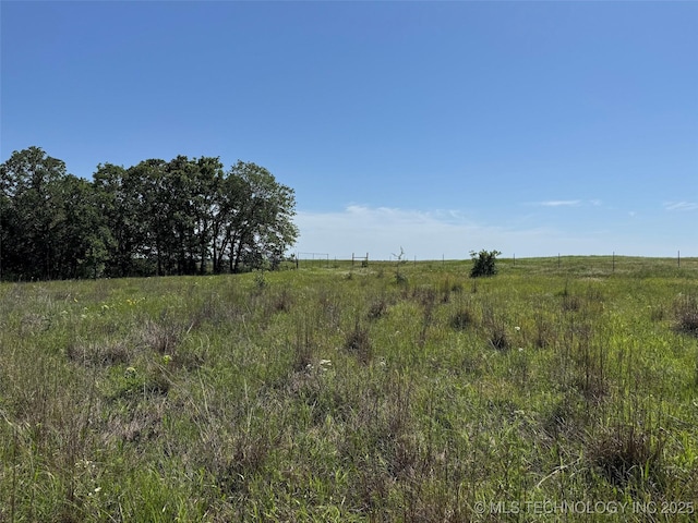 2668 Buckhorn Rd, Healdton, OK 73438 - photo 16