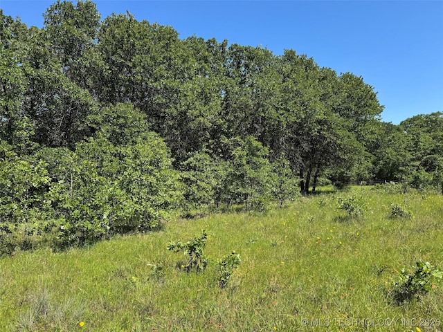 2668 Buckhorn Rd, Healdton, OK 73438 - photo 39